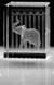 Image 3 Small Block - Republican Elephant