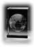 Image 3 Medium Block -  Globe