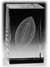 Image 3 Tall Cube - Football