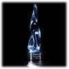 Revolutionary Award
